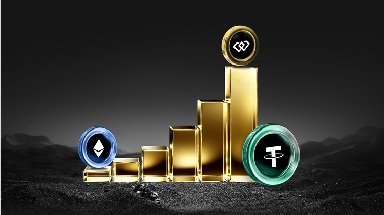 InterPlanetary File System (IPFS)